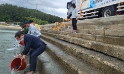 보성군, 득량만 연안 수산 종자 방류…점농어 10만 마리