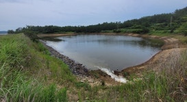 신안군, 섬 가뭄 피해 극심…저수지 216개 저수율 38% 불과