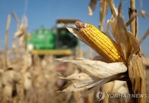 우크라 곡물 수출선  한국행…옥수수 6만5000t 선적