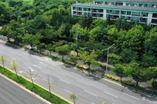 광주시, 걷고 싶은 가로수길 임방울대로 선정