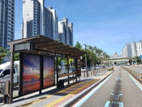 부산 해운대구, BRT 버스승강장 주변 이팝나무 47그루 식재… 열섬현상 해소