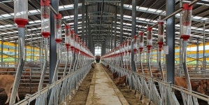 전남도, 올해 축산농가에 157억 지원…축사시설현대화 사업 추진