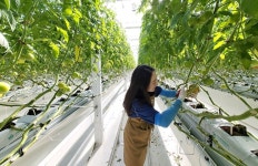 전남도, 스마트팜 청년 농업인 1만명 육성 순항