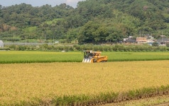 (주)정진홈푸드 전라남도농업기술원점 | 전남도, 식량산업 경쟁력 강화…핵심사업 7천550억원 투입