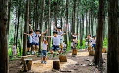 장흥군, 편백숲 우드랜드 콘텐츠 개발로 관광 르네상스 연다