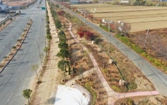 장흥군, 탄소중립 실천 미세먼지 차단숲 조성