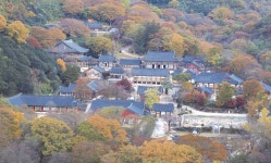 오늘부터 전남 13개 사찰 국가지정문화재 무료 관람 가능