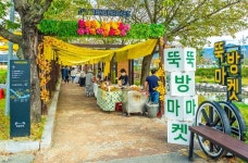 곡성군, 뚝방마켓 활성화 날개…로컬브랜딩 사업 선정