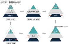 안세희 소장의 특목고 대비  과학 과목별 공부법 #10  르샤트리에 원리