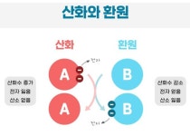 안세희 소장의 특목고 대비 과학 과목별 공부법 #11 산화와 환원