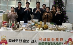 곡성군, 전남도청서 곡성 토란 맛 선보여