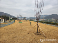 창원특례시, 용원파크골프장 시범운영 시행