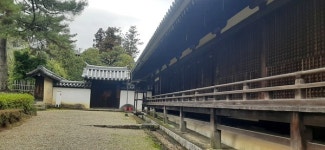 [김세곤의 세계문화기행] 일본역사기행 (64)-나라 호류지(法隆寺) (2)