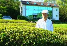 전남도, 이달의 친환경 농산물에 보성 유기농 녹차 선정