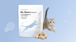 야옹섬, 고양이 신장 건강 위한 닥터토루 프로토콜 트릿 출시 할인 판매