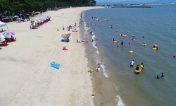 보성군, 율포솔밭해수욕장 내달 6일 개장…손님맞이 분주