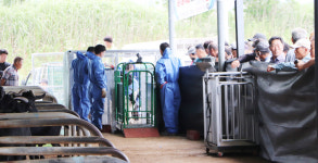 강진완도축협 염소 경매시장 첫 개장…600여명 인파