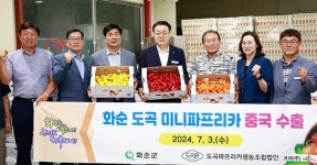 화순 도곡 미니파프리카 중국 수출 선적…생산량 80% 차지