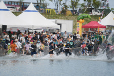 영덕 황금은어 축제, 8월 오십천서 개최