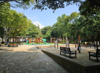 서구, 새말공원에 노인인지시설물 설치