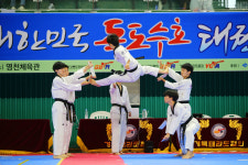 2024 대한민국독도수호태권도대회 영천서 개최