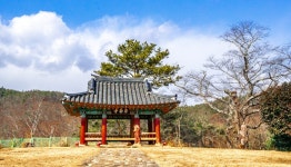 [김동완의 누정기행(樓亭記行)] 화순 물염정勿染亭…세상 홍진에 물들지 않으리