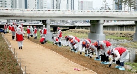 BNK경남은행, 삼호천 토닥길 바늘꽃밭 조성 봉사활동 실시