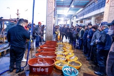 [포토] 포항수협 송도활어위판장서 봄철 해산물 활발한 거래