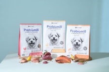 [바이오소식]강스템바이오텍, 임상시험 과제 선정 外 네오켄바이오·이글벳