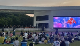 2025 담빛시네콘서트, 담양의 여름밤 수놓다