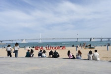 광안리, 외국인 관광객 원픽 등극