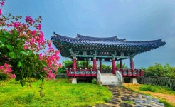 [김동완의 누정기행(樓亭記行)]완주 비비정 飛飛亭 푸른 물결에 기러기 날개짓을 담다