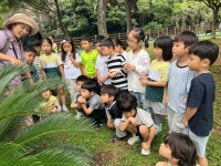 신광초병설유치원, 흘천공원 가을 곤충과 거미, 곤충무늬 찾기 현장체험학습