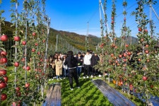 경북도, 전국 과실전문생산단지 12곳 선정
