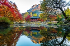 만추 물든 전남…송광사·관방제림·피아골·백양사 단풍 명소 추천