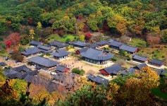 만추 물든 전남…송광사·관방제림·피아골·백양사 단풍 명소 추천