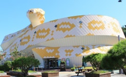 함평양서파충류생태공원, 뱀 허물 만지기 체험 인기