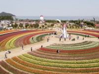 전남 관광지 남도한바퀴 3월부터 봄꽃 테마 운행…곡성·구례·신안 등 포함