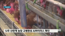 나주 산란계 농장 고병원성 AI바이러스 확인