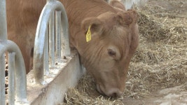 영암군, 마을내 축사 이전하면 2,000만 원 지원