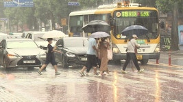 태풍 오마이스 북상 중..5개 시군 호우주의보