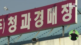 각화동 농산물 도매시장 이전 논의 본격화
