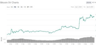 BSV 반감기 앞두고 상승세...시장 전문가 눈은 네트워크 펀더멘털에