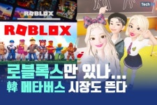 [카드뉴스] 로블록스만 있나...韓 메타버스 시장도 뜬다