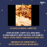 [카드뉴스] 혁신이 없다고? 압도적 성능의 아이폰13 프로, 써보면 생각이 달라진다