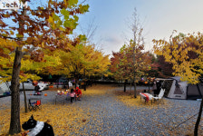 [IT기자의 캠핑 이야기] (14)라떼워킹맘이 추천하는, 가족과 함께하기 좋은 캠핑장 베스트3