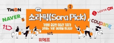 [소라픽] 쿠팡 고양레저타운 티몬 캐리비안베이 위메프 롯데월드...가성비로 즐기는 여름
