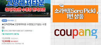 [소라픽] 쿠팡 고양레저타운 티몬 캐리비안베이 위메프 롯데월드...가성비로 즐기는 여름