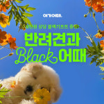 여기어때, 블랙 기프트 패키지 선보여...숙소 큐레이션 강화
