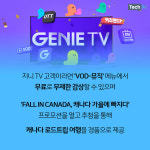 [카드뉴스] KT X 지니뮤직, 캐나다의 가을을 즐길 AI트래블뷰 공개